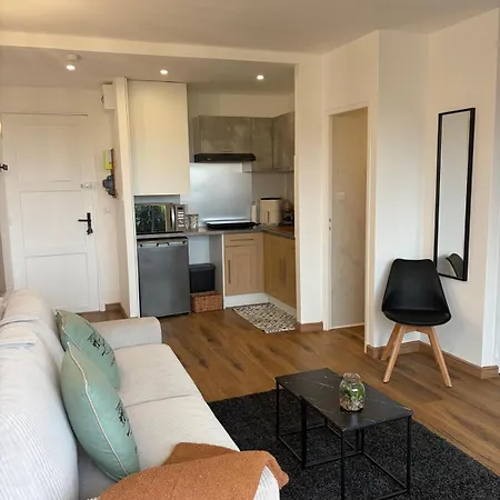 Apartmán La Kabana - Avec Parking, Piscine, Balcon Vue Et Climatisation A 500 M A Pied Des Plages Et Du Centre Collioure